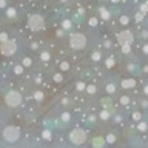 Meet your Posher, Ruslana